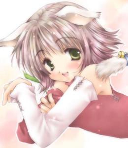 Animaux
